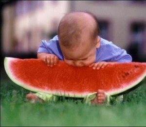 Baby Eating Watermelon-203390
