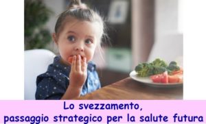 berveglieri